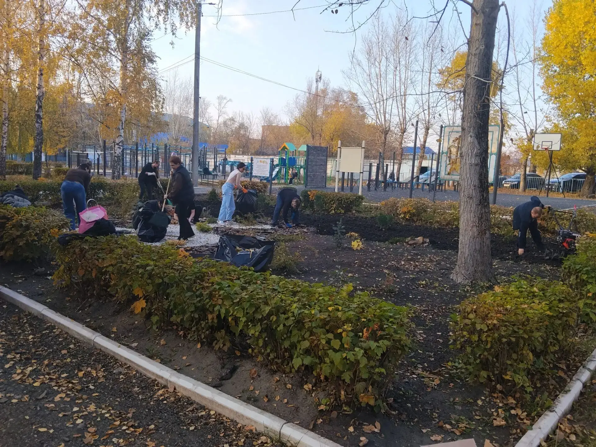 Родители учеников 2в класса МБОУ СОШ №15 присоединились к благоустройству пришкольной т...