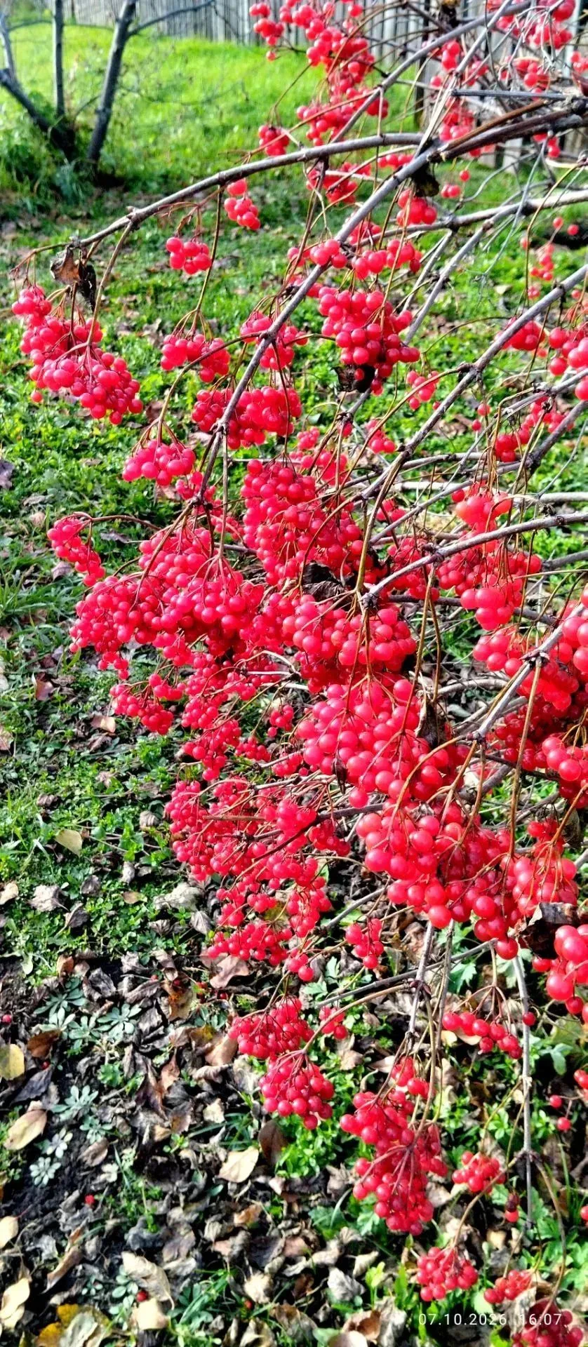 Осенние пейзажи нашего округа от Алевтины Даций😍