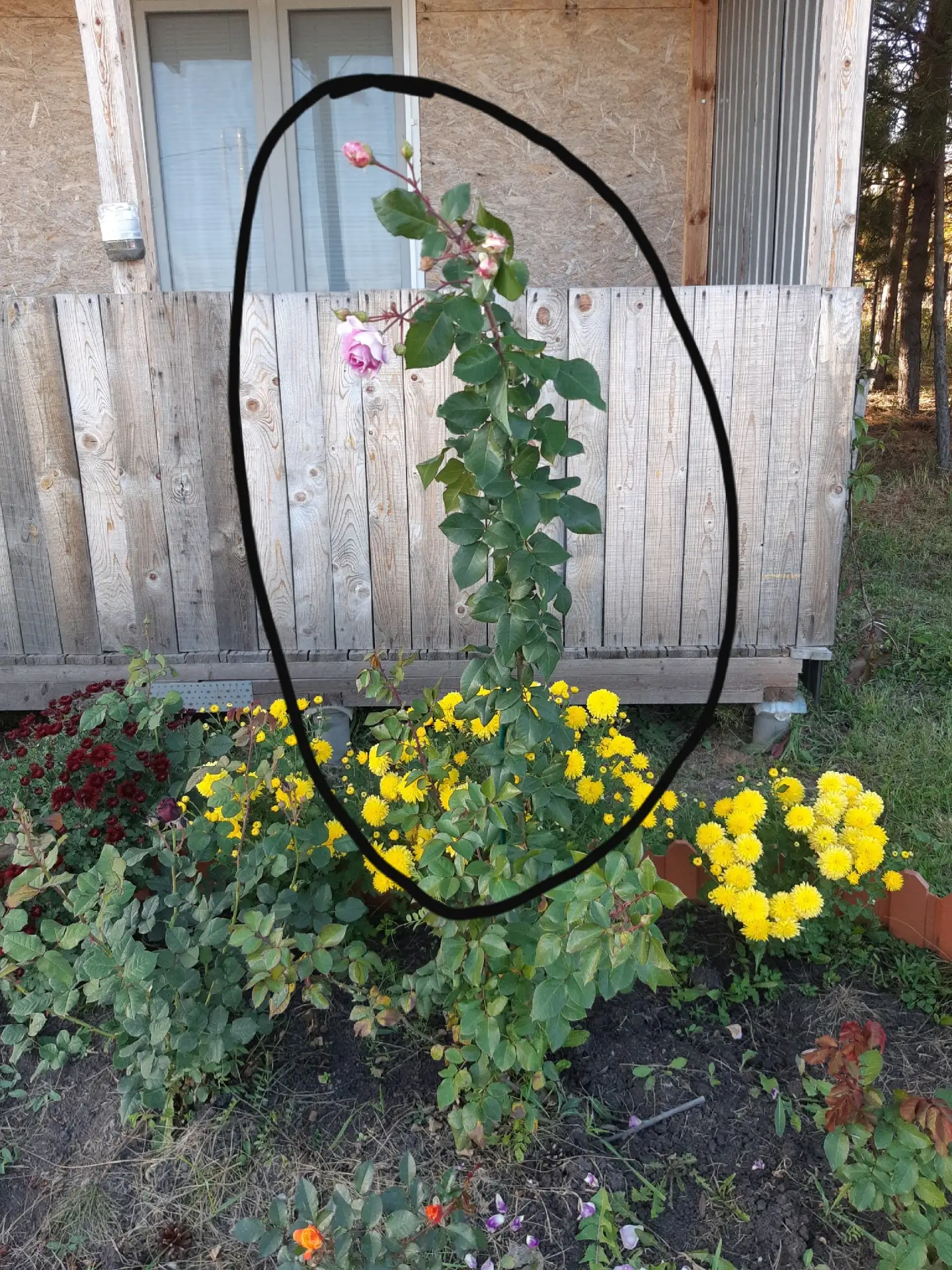 Доброго времени суток.