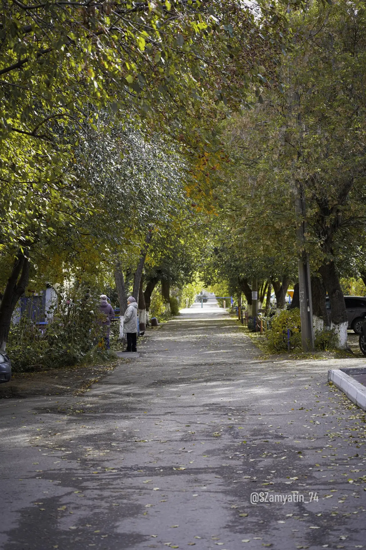 Осень — прекрасное время года. 🍂 Погода так и шепчет выйти на улицу, собрать последний...
