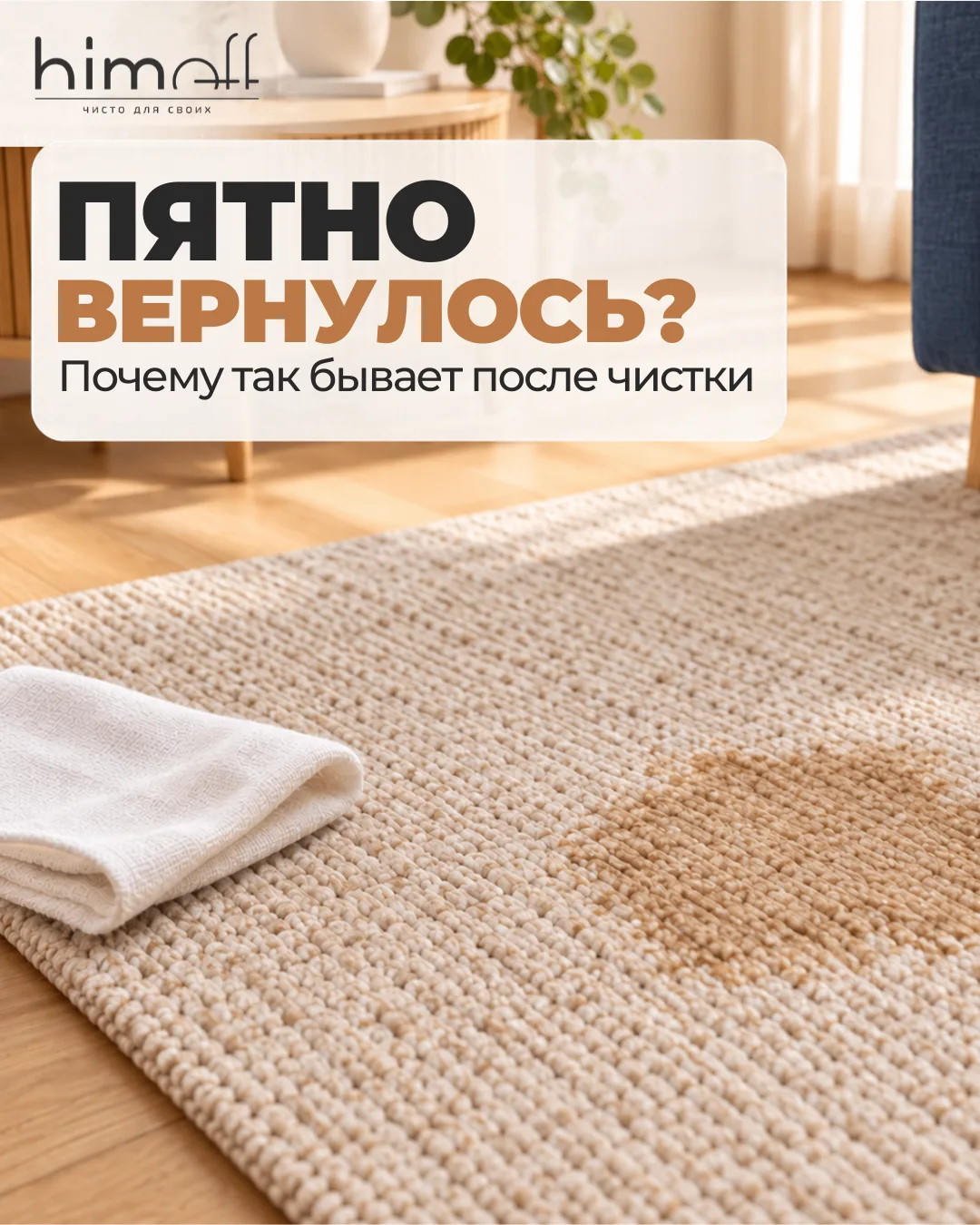 Пятно убрали. Ковёр высох — и оно снова на месте 😩