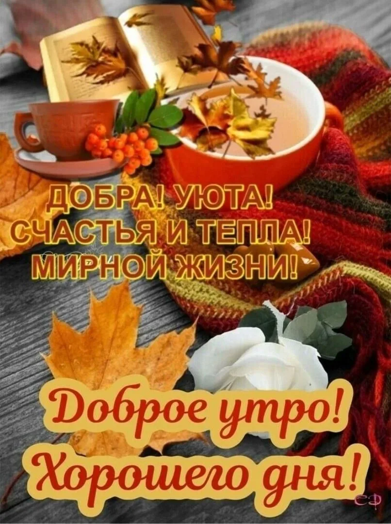 Доброе утро и доброго дня, Великая Россия 🇷🇺❤️