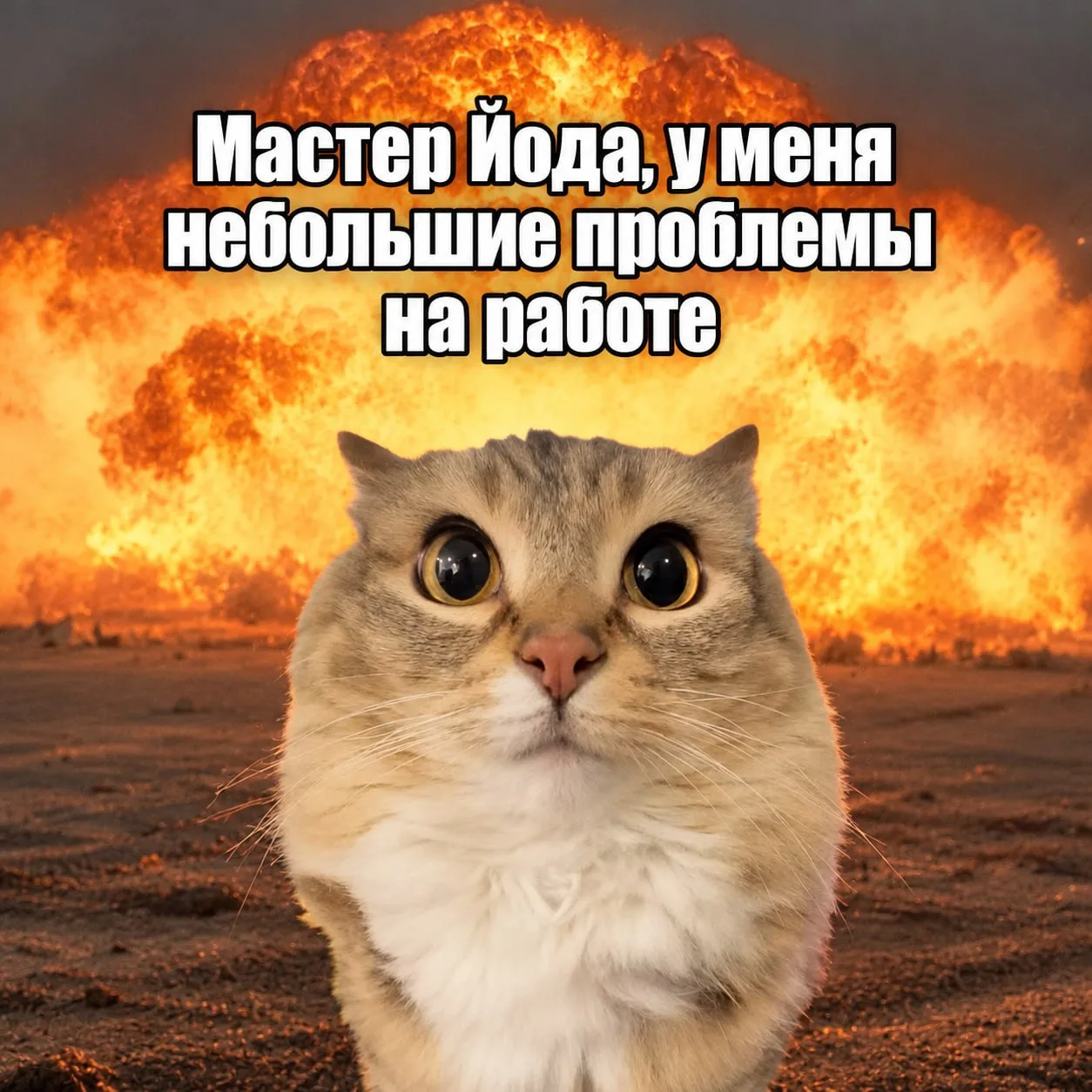Айтишник-недоучка устроил нарколабораторию под Екатеринбургом и спалился в прямом смысл...
