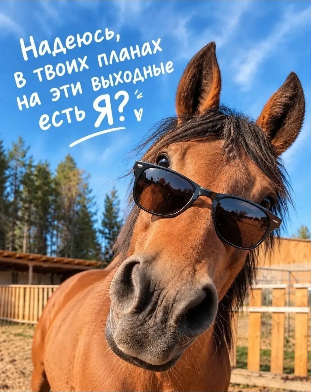 #обои #обои_для_девушек