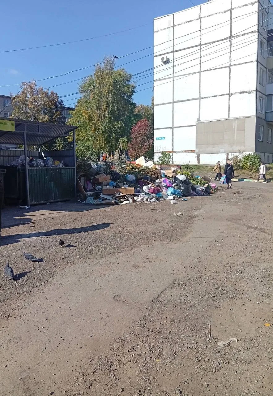 Рубрика «Добро пожаловаться». На связи Виолетта: