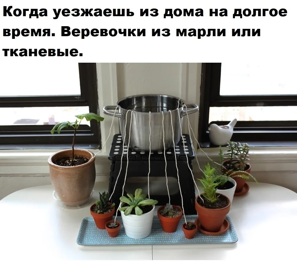 Кто пробовал?