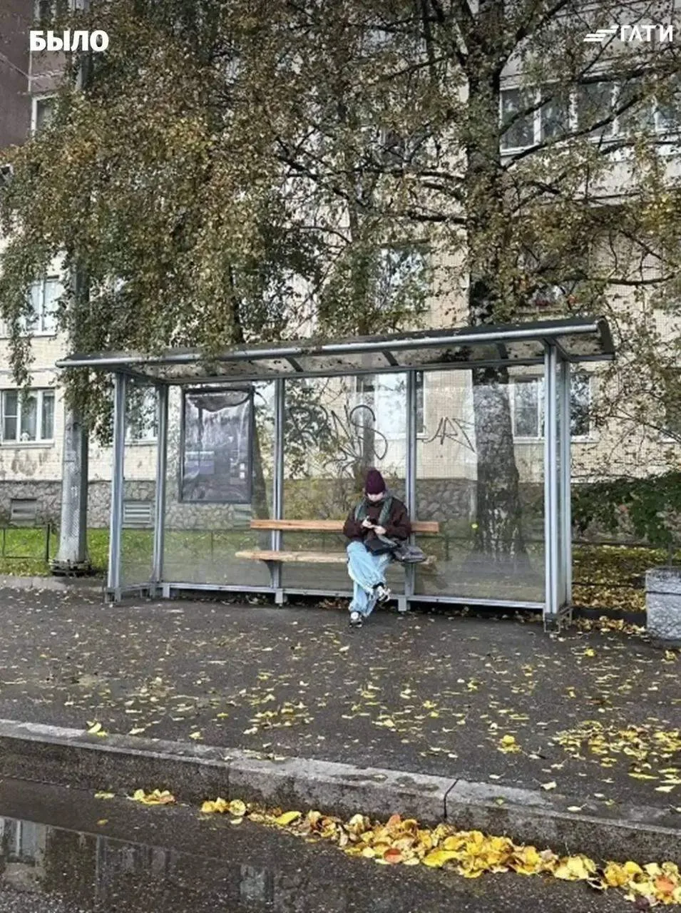 🧹 В Петербурге за два дня устранили более 50 нарушений в рамках «Недели чистоты»