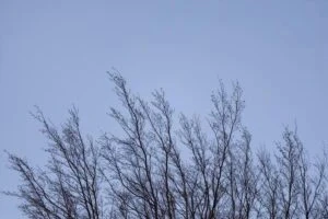 🌬 Татарстанцев предупредили о сильном ветре 10 октября