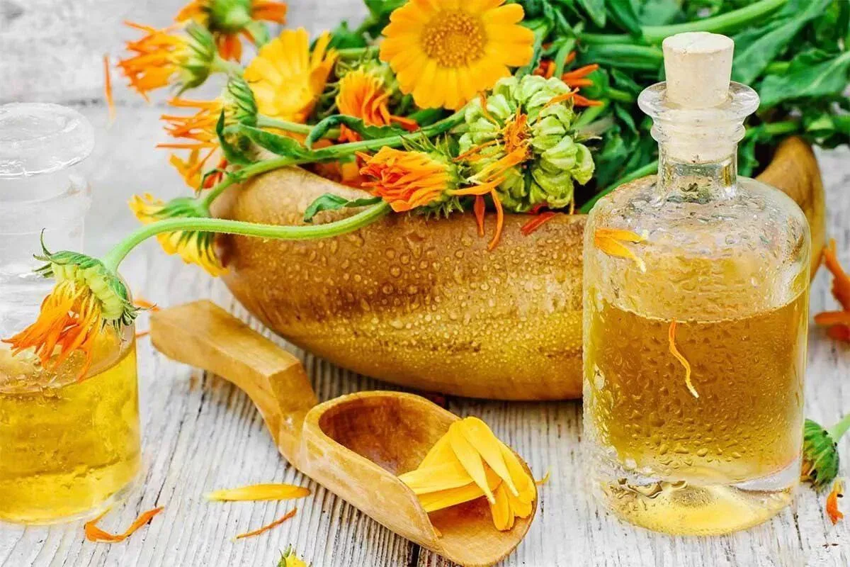 🌿 Κaлeндулa с лимoнoм oт дaвлeния