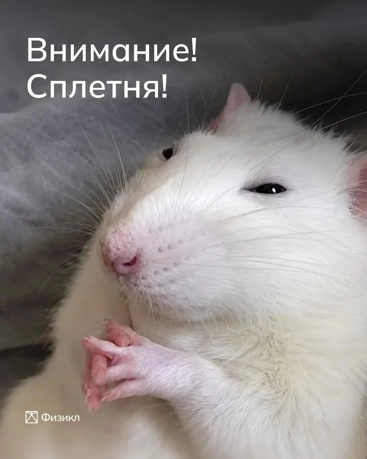 Помощник в бухгалтерию