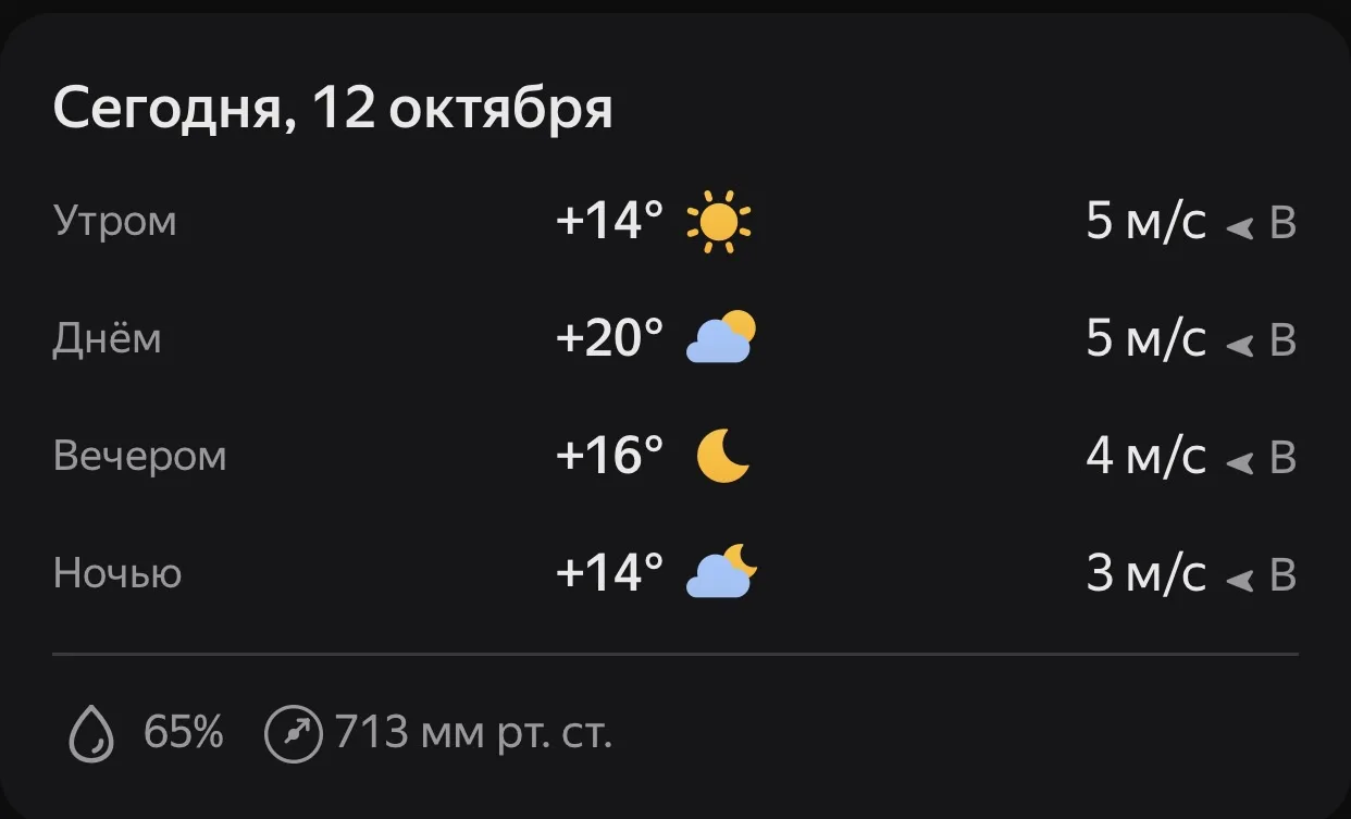 Погода сегодня утром — бодрая осень (+14°), днём — внезапно лето (+20°), вечером — снов...