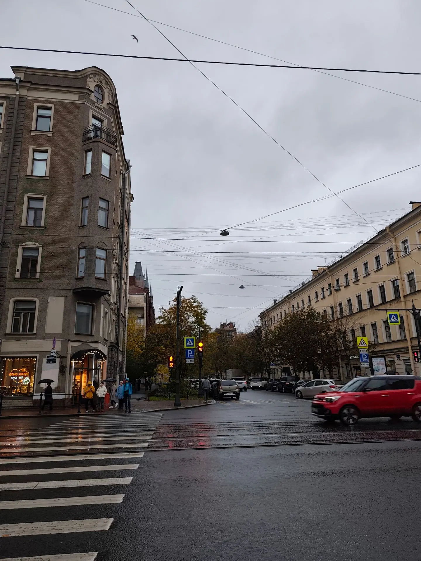 Дождливого Питера вам кусочек☔