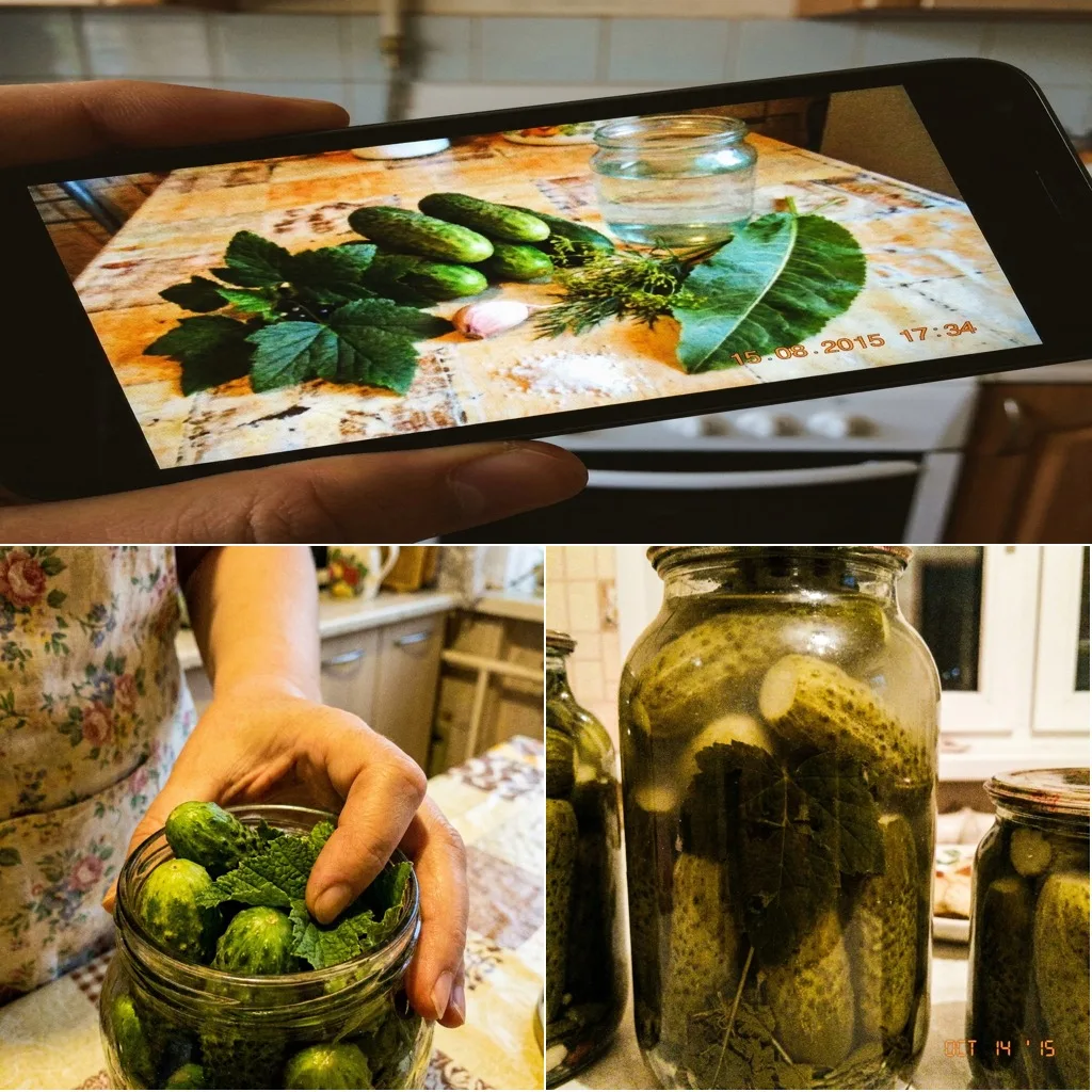 🥒 ОГУРЦЫ С ЛИСТЬЯМИ СМОРОДИНЫ