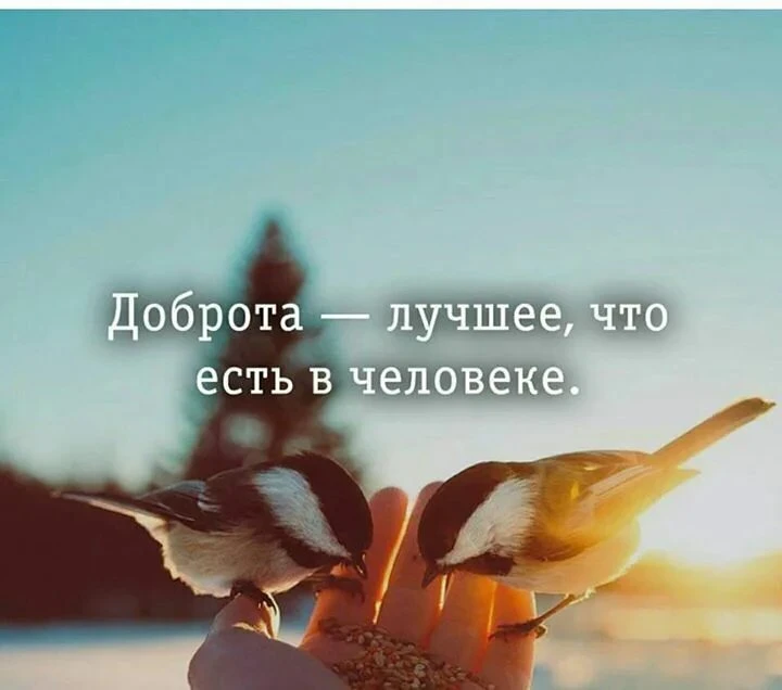 Доброго дня всем! 🌞