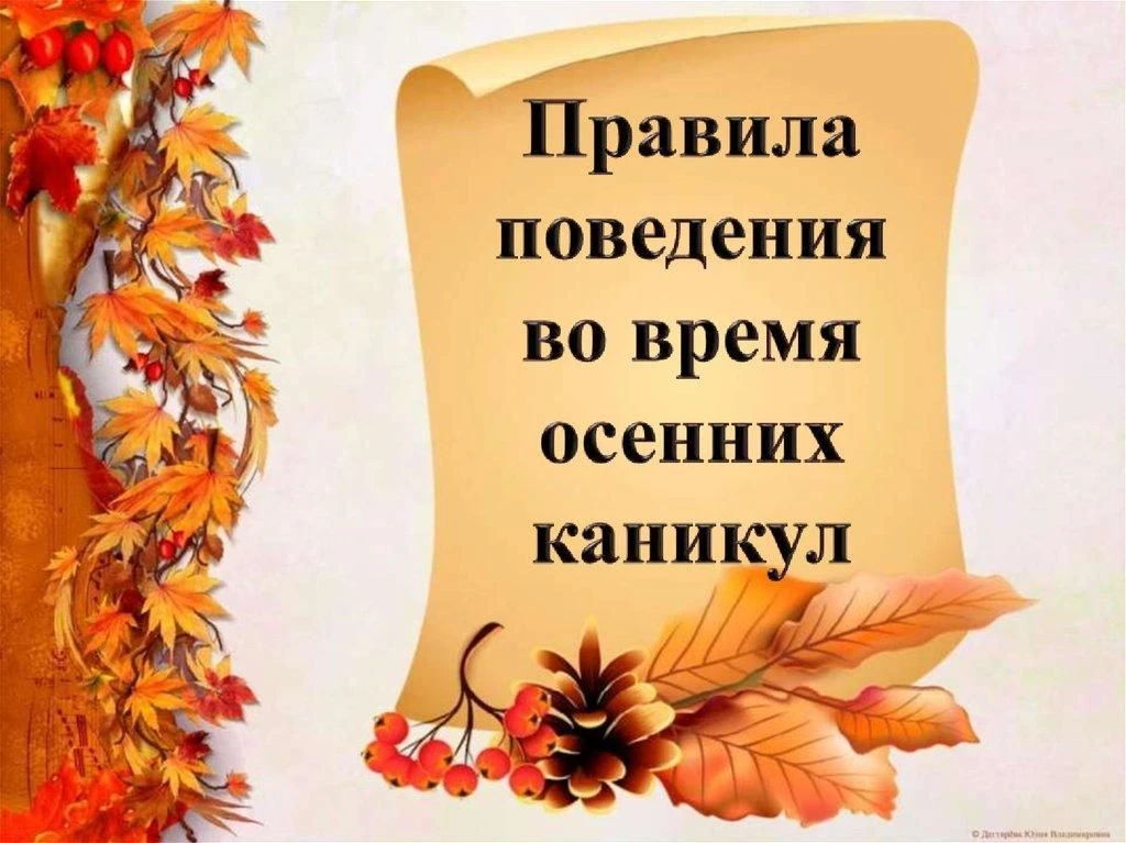 Правила безопасности во время осенних каникул!