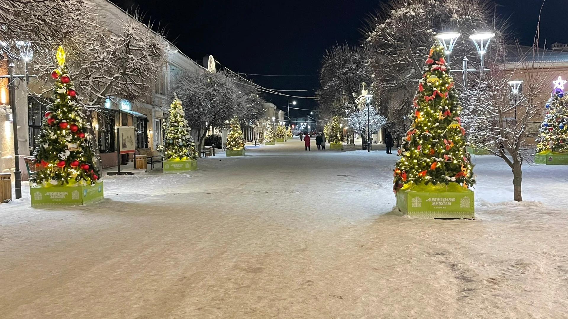 🎄Фестиваль "Ёлки Липецкой  земли" занял третье место в  одной из номинаций полуфинала ...