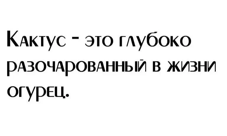 😄 До завтра, друзья! Доброй ночи 💤