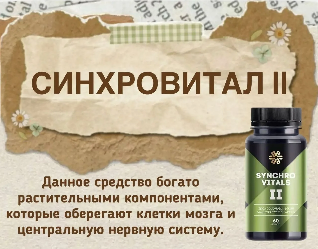 🧠 Синхровитал II - это мощный источник растительных компонентов, которые защищают клет...