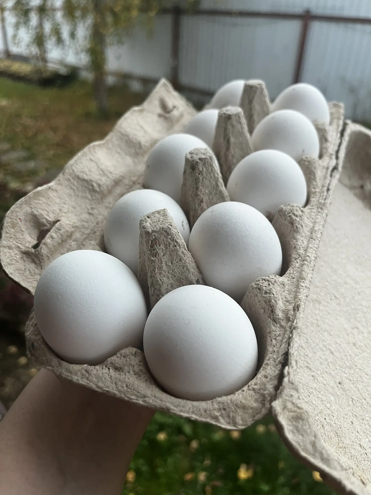 Девочонки 🐓 несутся как из пулемёта 🤭