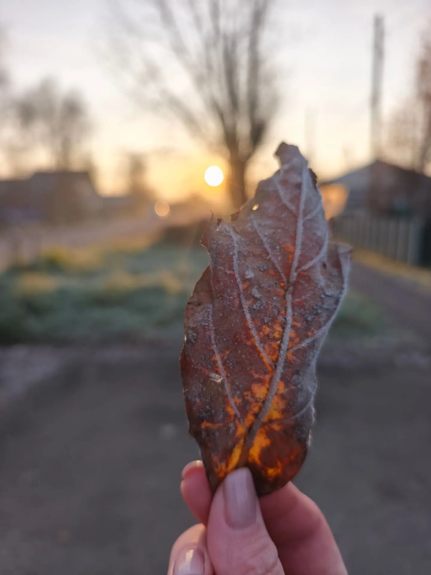 ДОБРОЕ УТРО ☀️