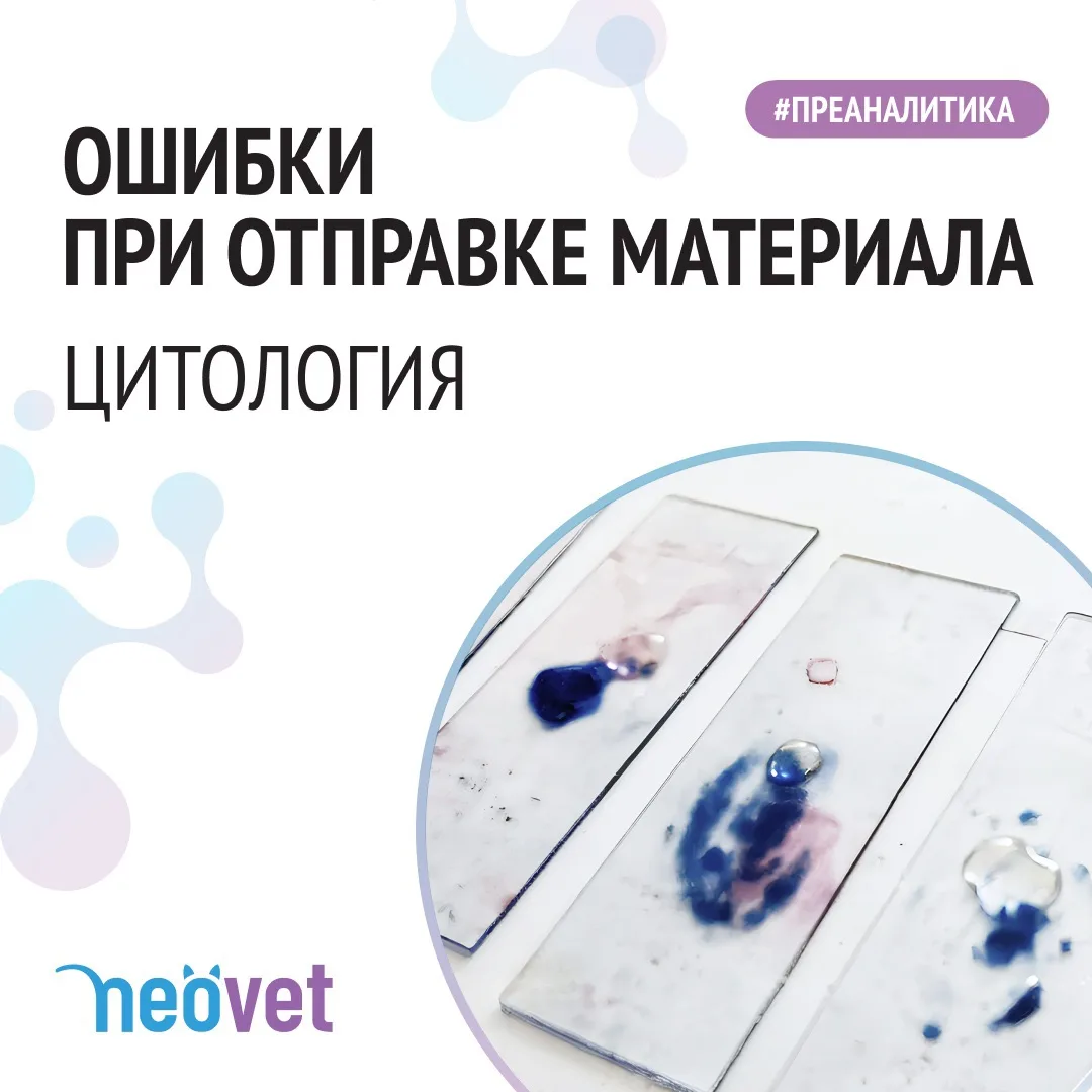 #преаналитика