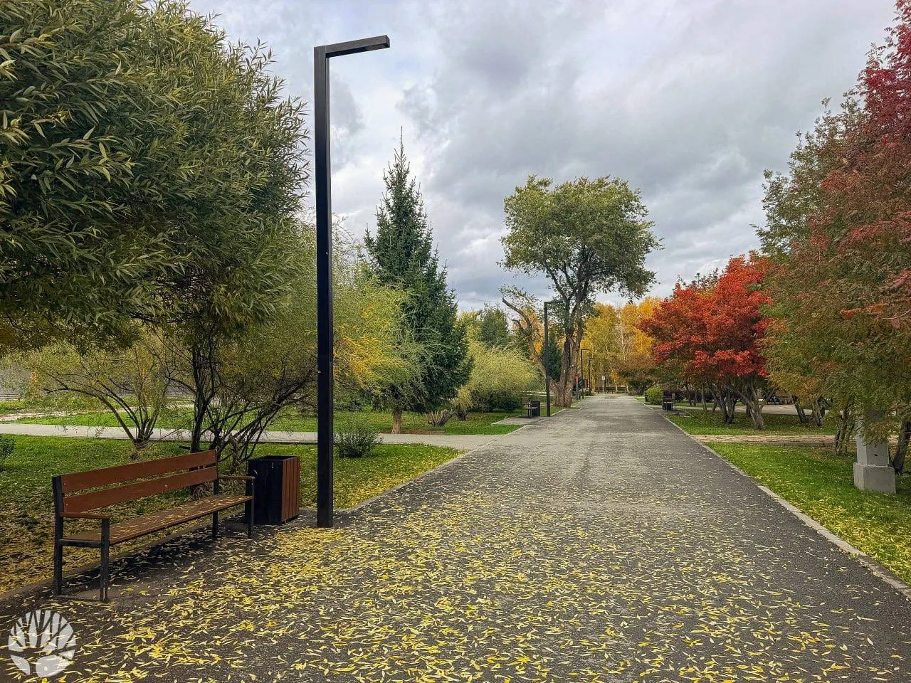 Любуемся на краски осени в Затулинском парке🍁