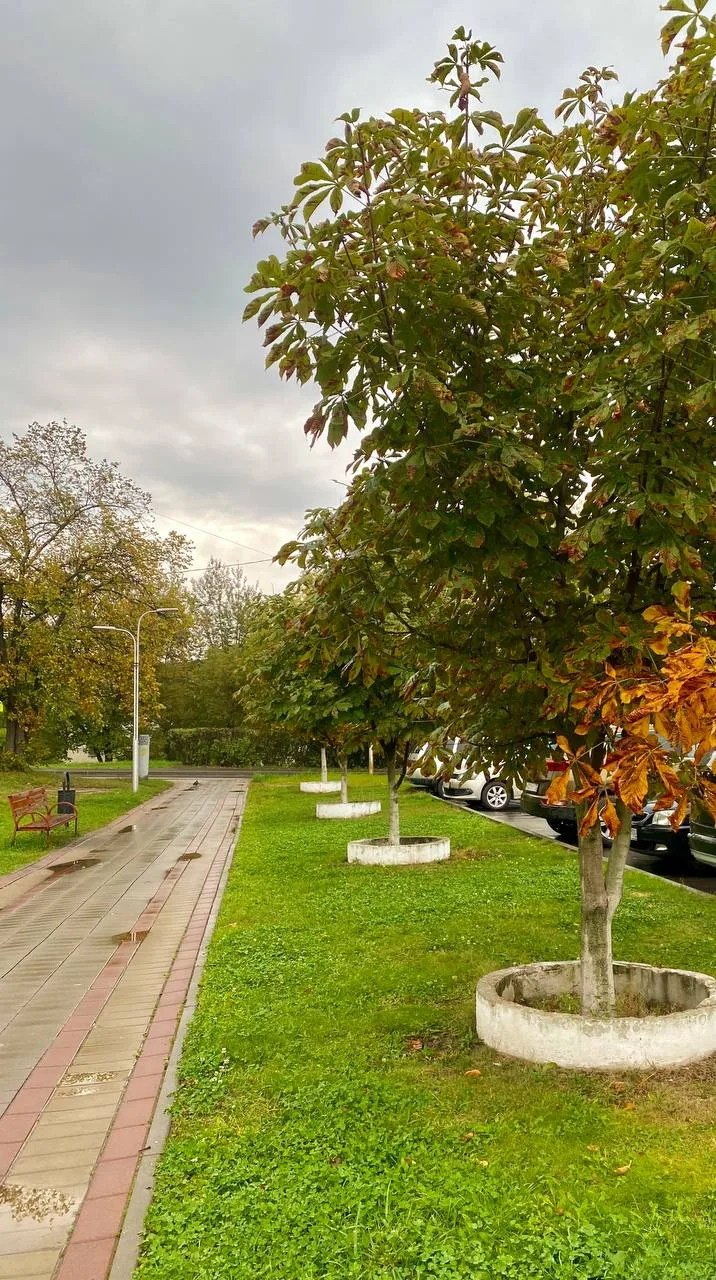 Утро доброе!