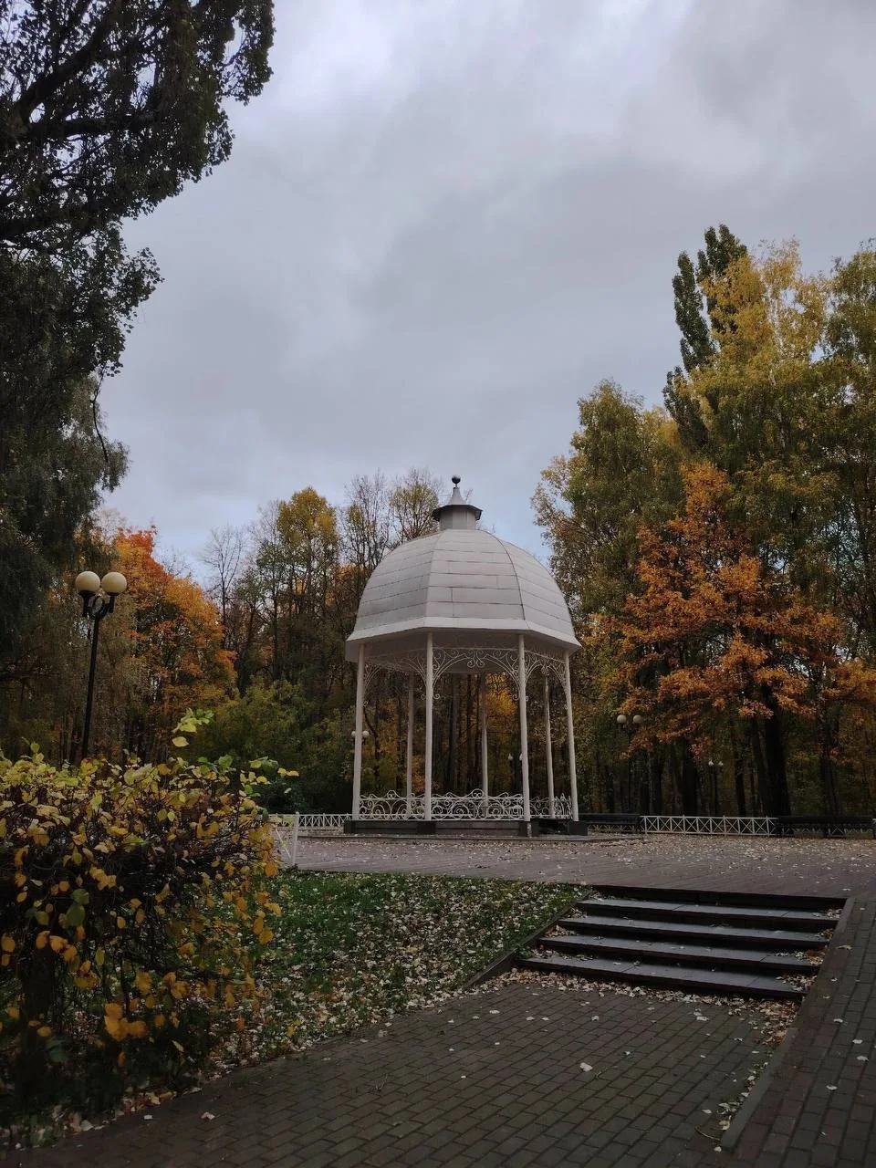 Красочный и безмятежный Измайловский парк на снимках от соседки.