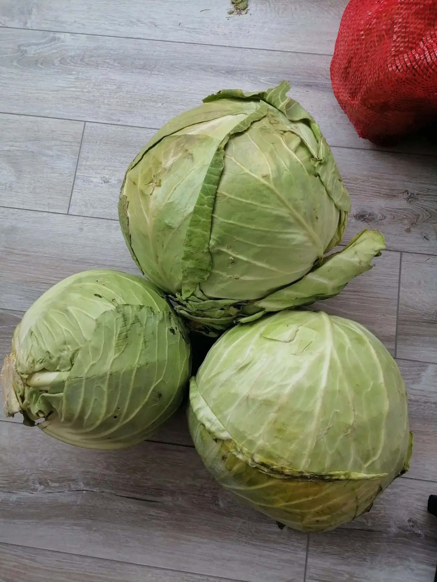 Продам засолочную капусту, цена 90 руб./кг. Самовывоз мкр. Царский. 89144700855
