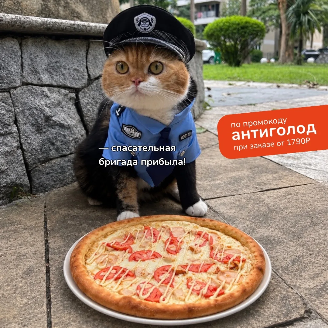 Кто тут голодный? Спасательная бригада уже на месте 😂