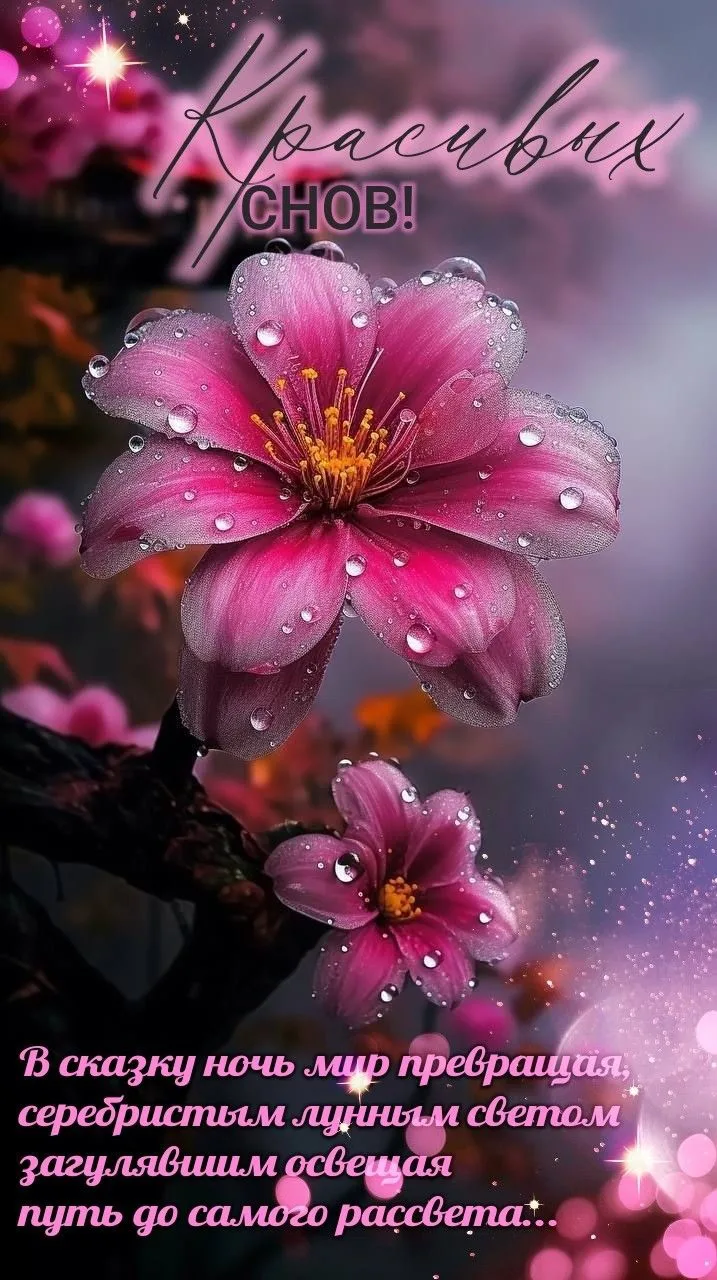 Открытки любимым 🌸🥰