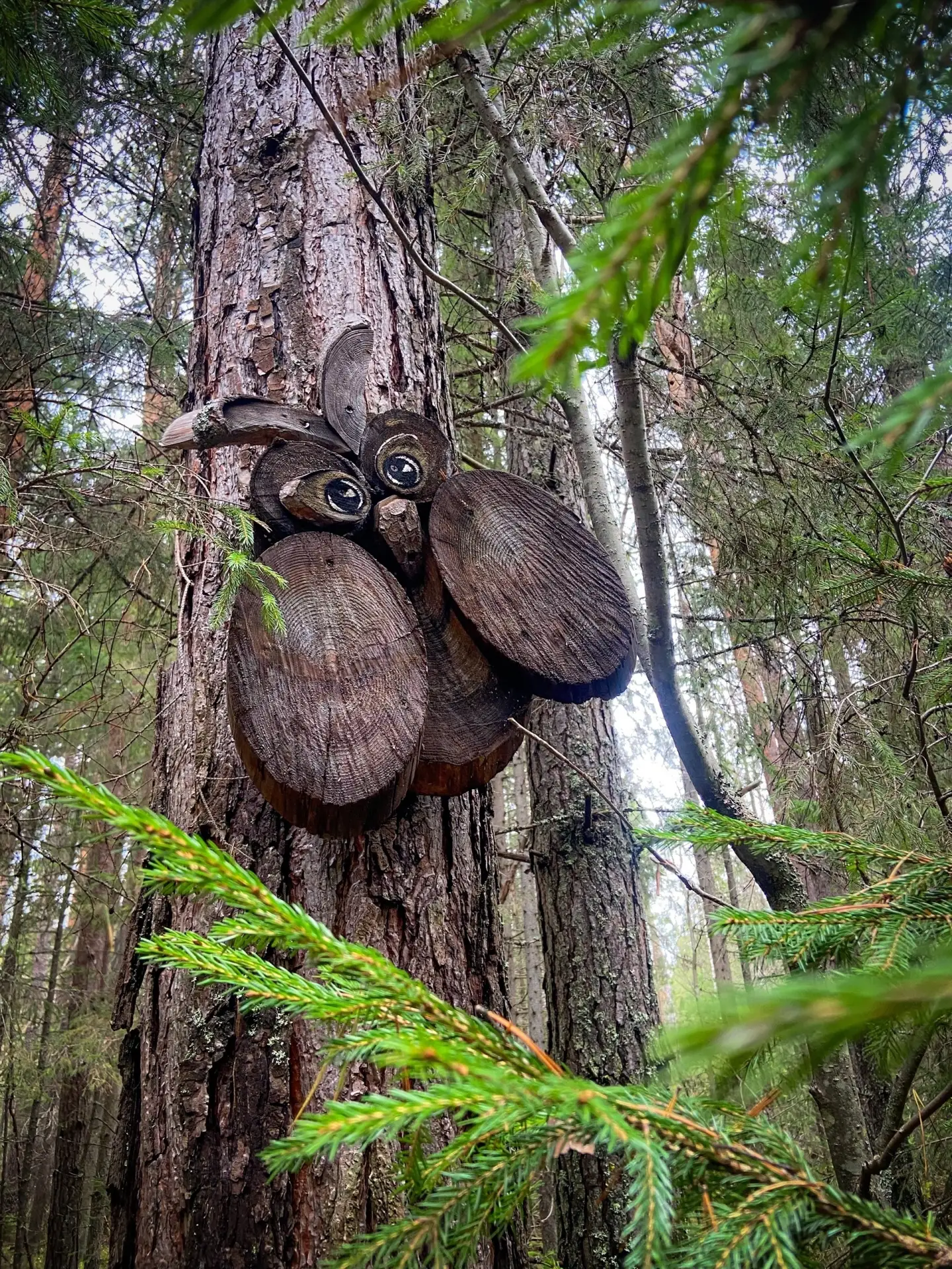 🌲 Полазна, 45 км от Перми. Место, которое сами полазненцы называют просто «Черноозерье».