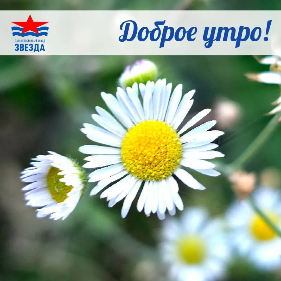☕ Доброе утро!