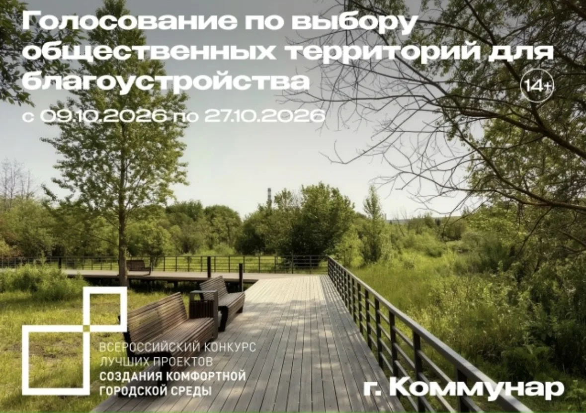 Голосование за благоустройство — примите участие в опросе