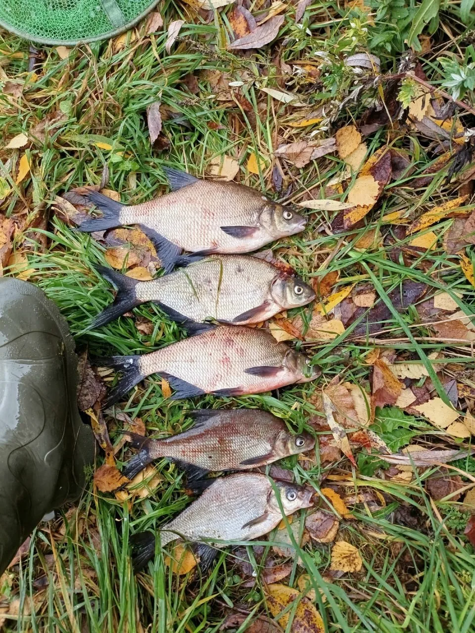 13.10.26
