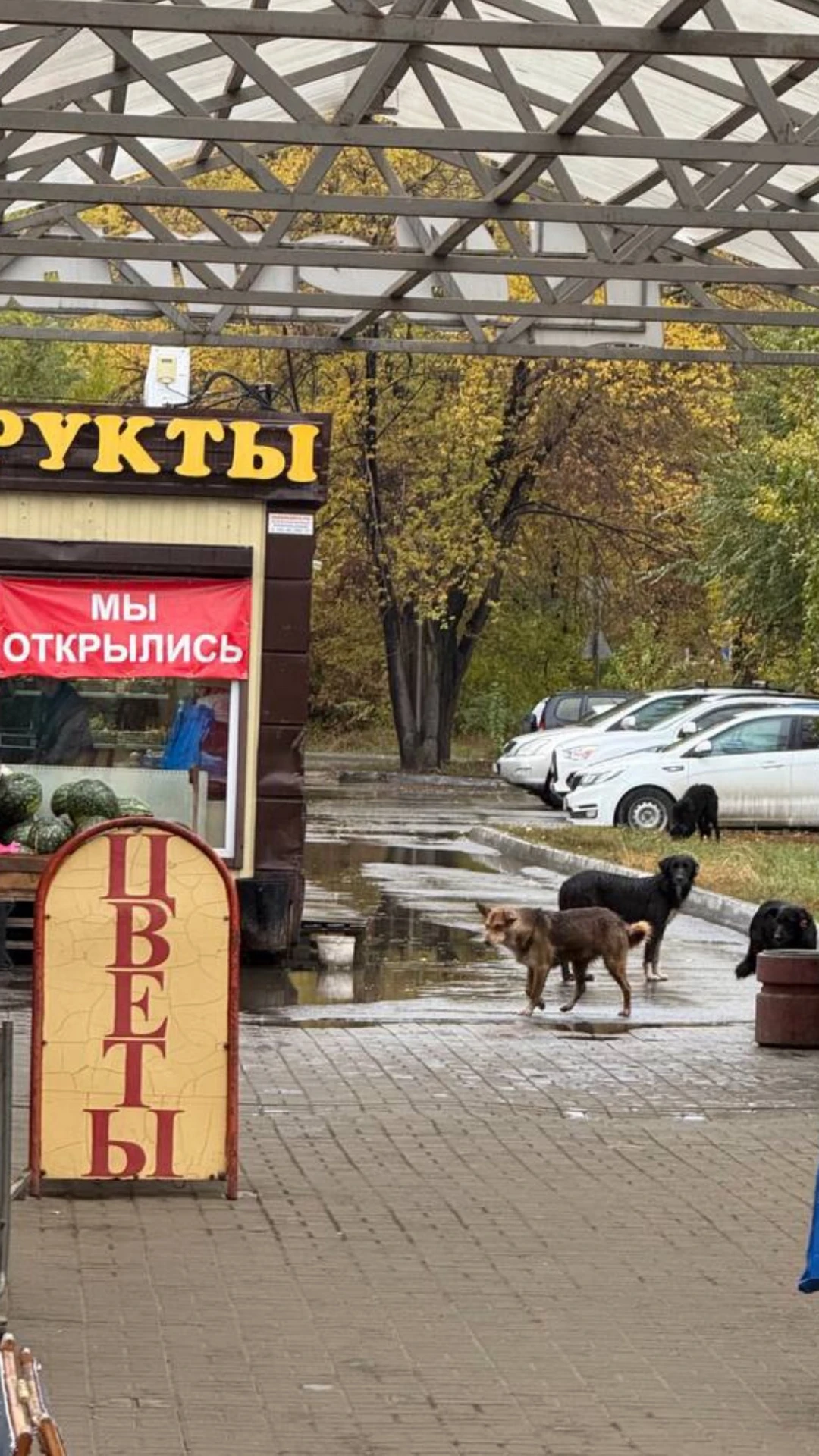 Здравствуйте!