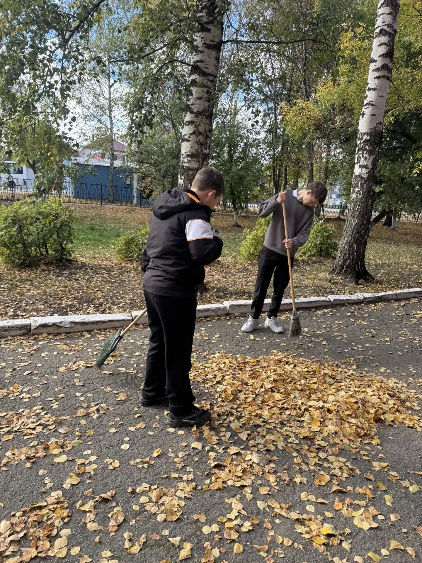 🍁🍂«Санитарная пятница»