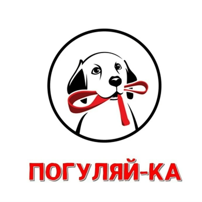 С 1 по 31 октября 2026 года проводится зоозащитная акция «Погуляй-ка»
