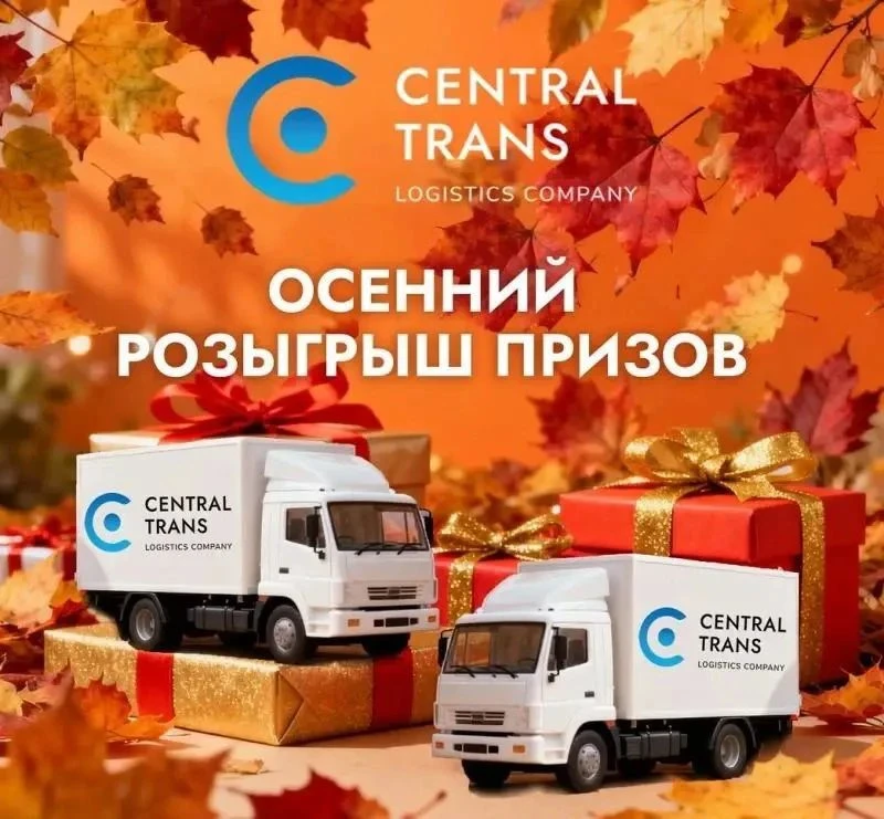 6 СЕРТИФИКАТОВ ОЗОН ✅