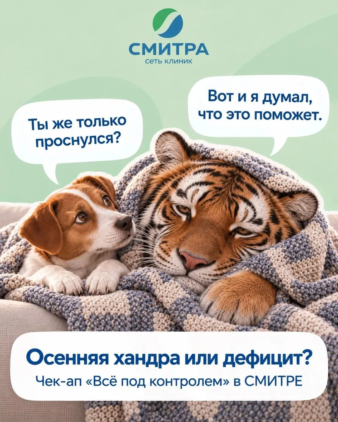 К 15:00 уже завидуете коту, у которого по расписанию третий сон?