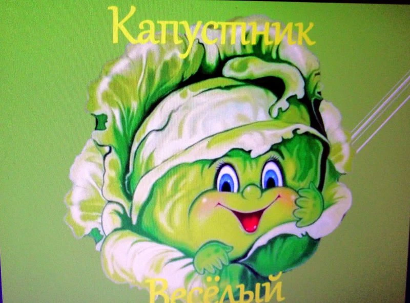 «Весёлый капустник»🥬На осенних посиделках «Весёлый капустник» сотрудники Центральной б...