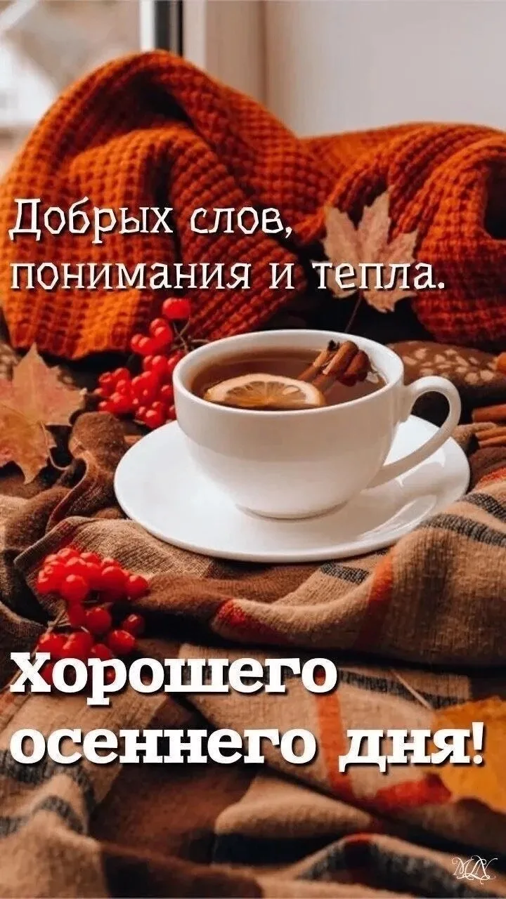 🥰Ставьте реакции и делитесь открыткой с близкими ❤️