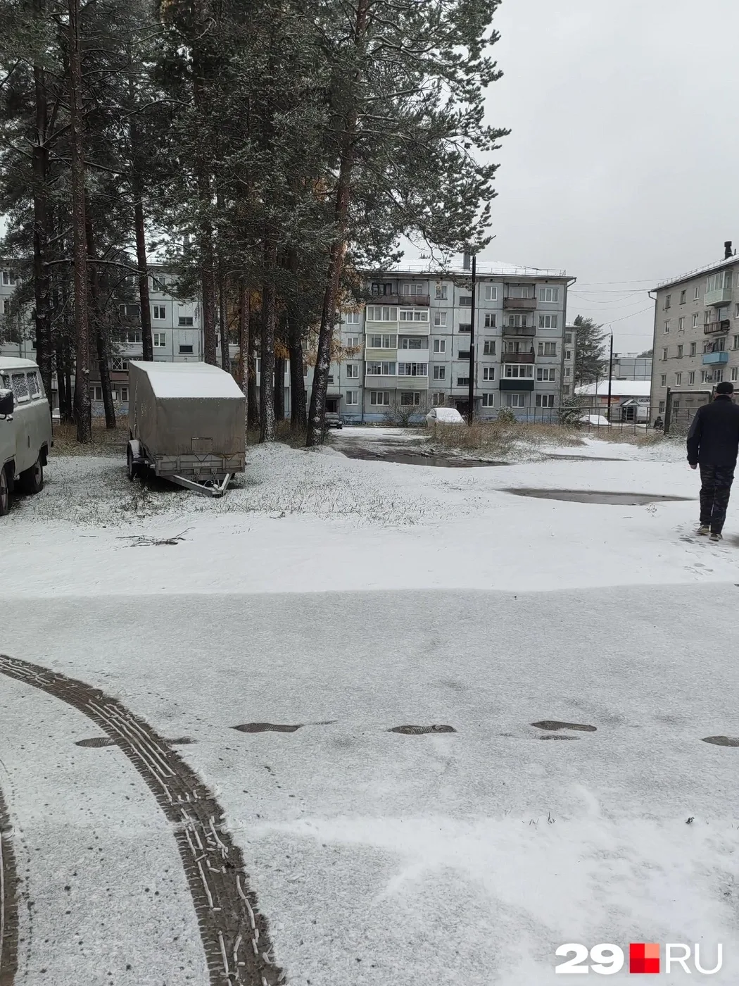 В Плесецком округе выпал первый нормальный снег. Улицы и дороги уже припорошило так, бу...