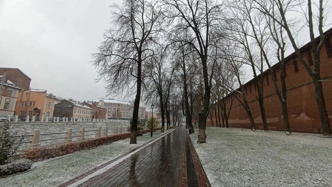 ❄️ Первый снег может добраться до Нижегородской области уже в начале ноября.