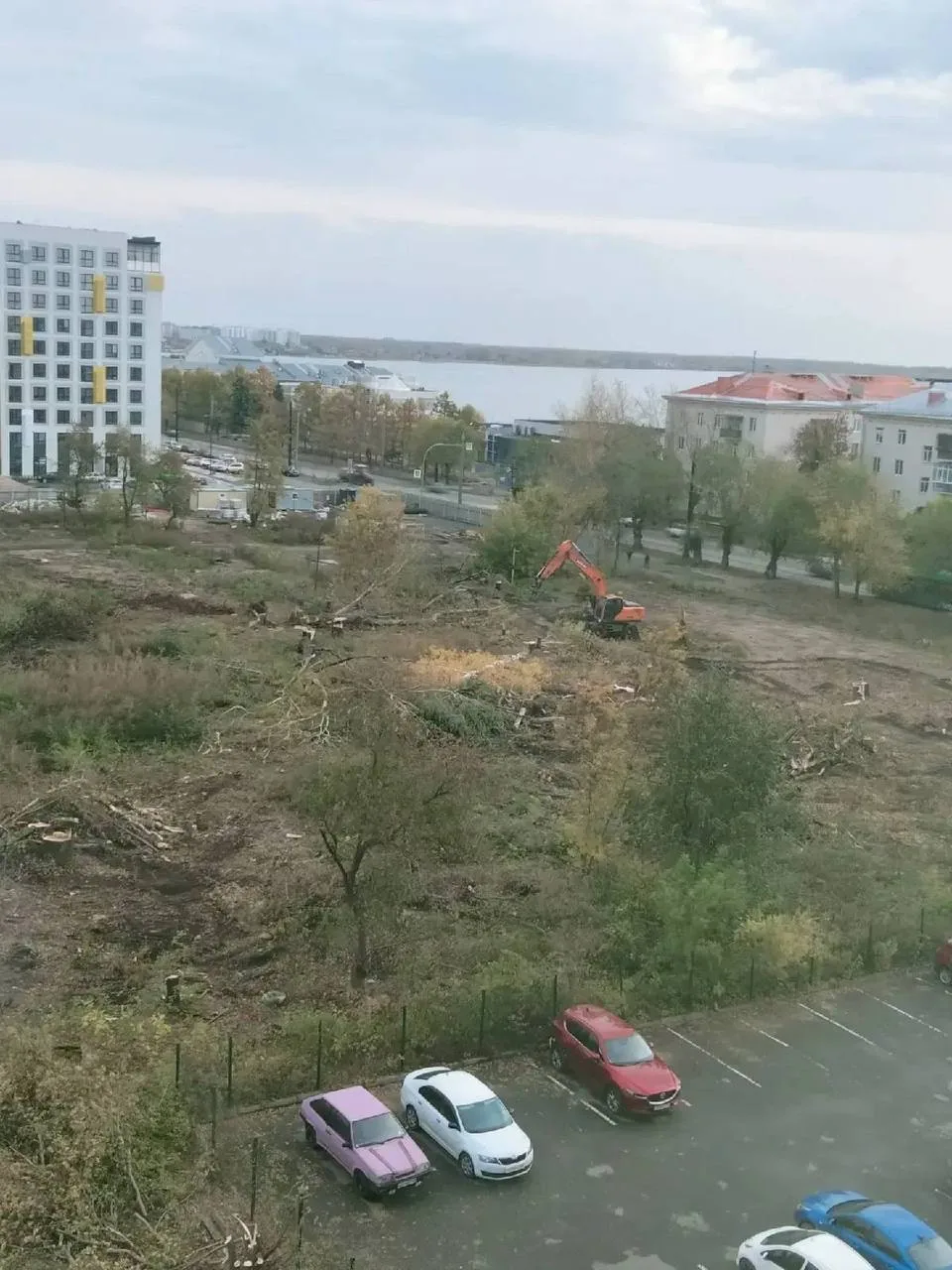 ❗️В Челябинске вырубили сквер, который жители выращивали больше 50 лет