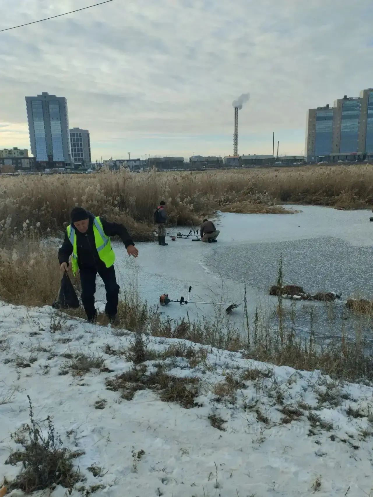 🌾 Сайсарский округ присоединился к общегородскому покосу камыша