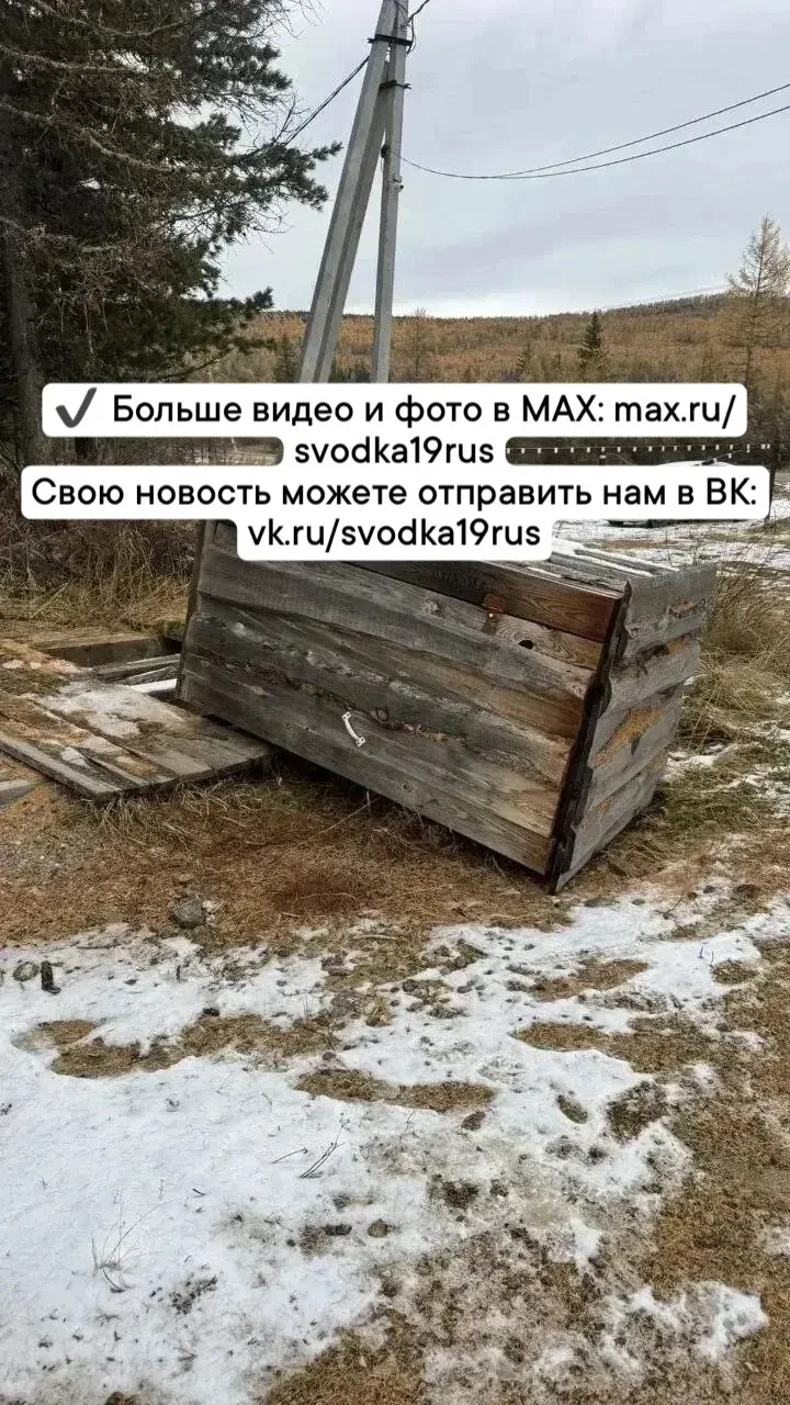 🐻 Дикий медведь устроил погром на турбазе в Туве