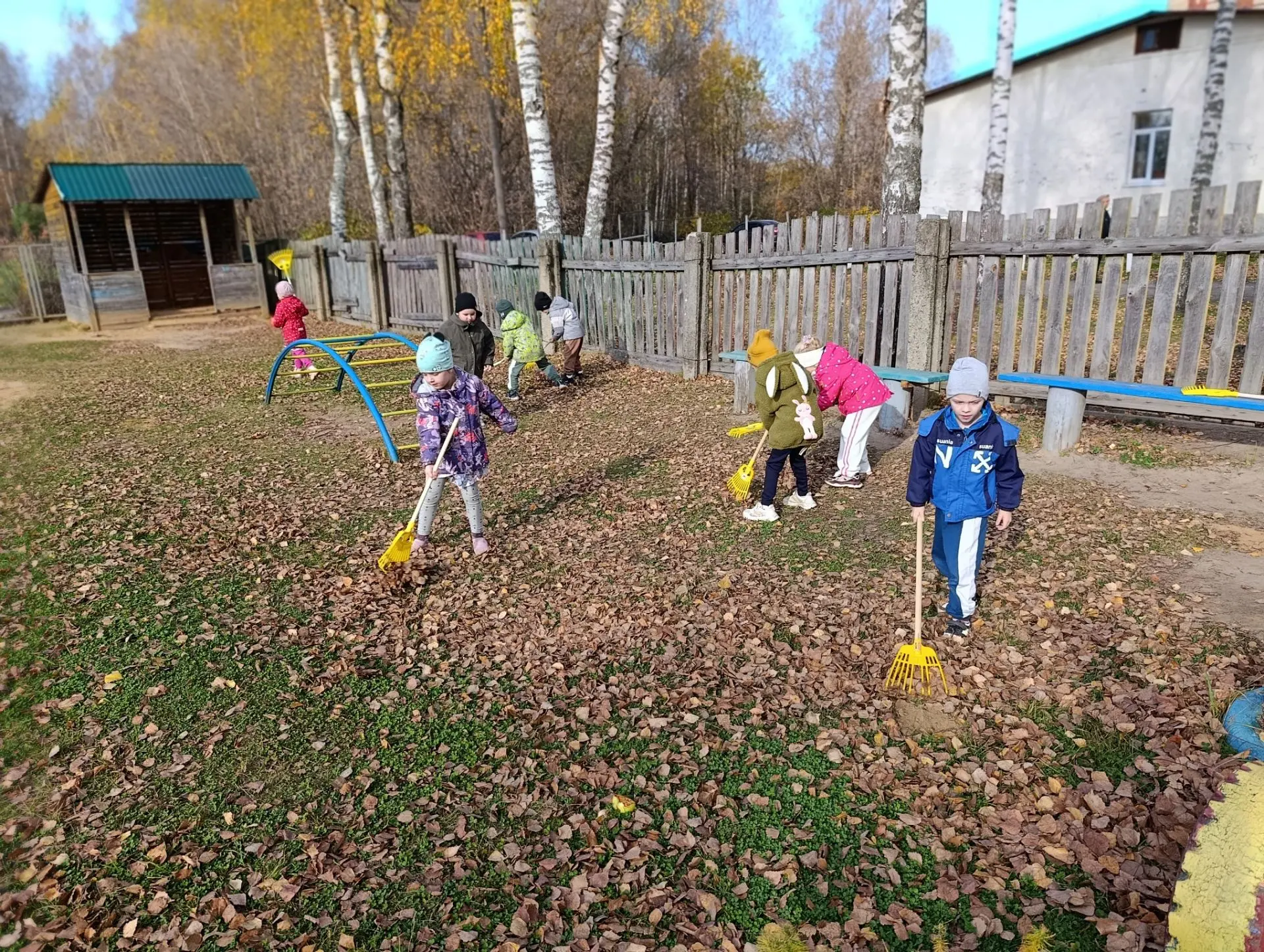 🍂А у нас листопад! Осень золотая!
