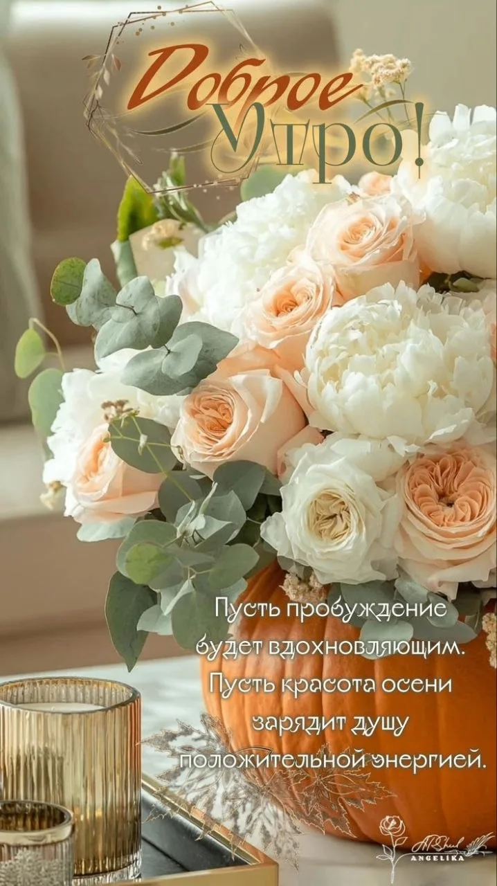 Делитесь открыткой с друзьями и поддерживайте реакцией