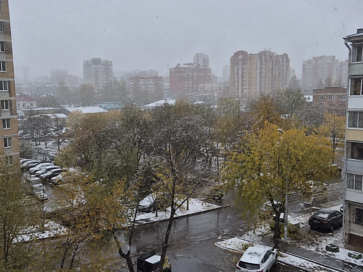 🌧️ В Благовещенске введут режим повышенной готовности из-за дождя, снега и сильного ветра